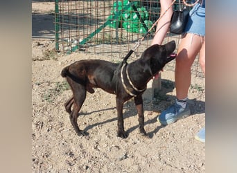Lucignolo: einfach nur Zucker