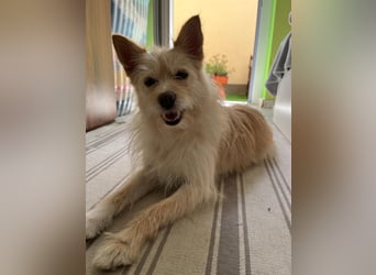 Loretta SR – Unkomplizierte Dame sucht ihr Zuhause