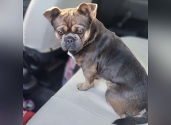 BASTIEN - SUCHT LIEBEVOLLES ZUHAUSE