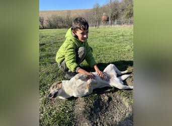 Aufgeschlossene Freya sucht liebe Familie