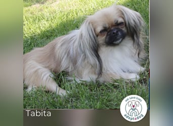Tabita: Fröhliche kleine Kämpferin