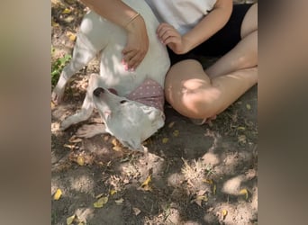 ANGEL - Einzelprinzessin in weiß sucht ihren Prinz!