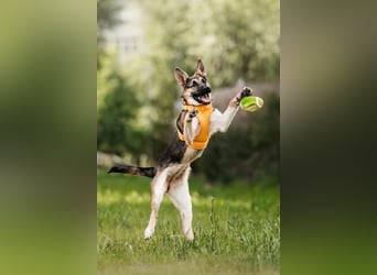 Besondere Deya sucht warmes Körbchen