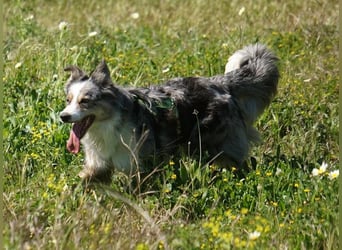 Zira (Spanien) - ein wunderschöner Rohdiamant