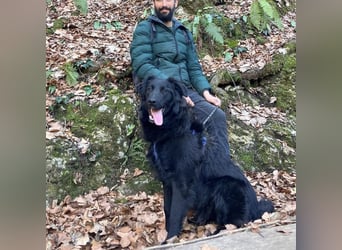 Jupi sucht seine Familie