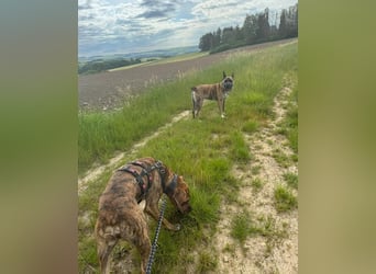 Familie gesucht