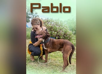 Pablo – fit trotz Handicap