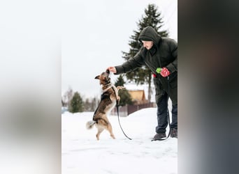 Zärtliche Luna sucht ihre Menschen