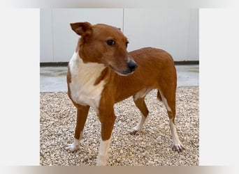 Max(JA) einfach ein toller Kerl