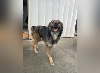 Pep