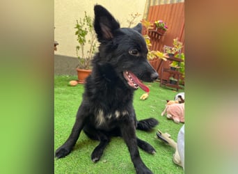 Fiona SR– Kleine Entdeckerin sucht liebevolles Zuhause