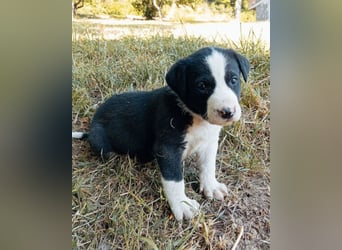 Kleiner Rocky ❤️ will die Welt erkunden!