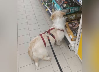 KIRA möchte endlich ankommen