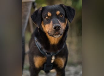 Mico ❤️ aufgeschlossen & verkuschelt!
