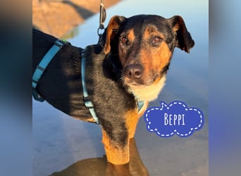 Beppi der wundervollste Schatz