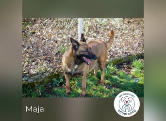 Maja: genießt ihre neue Freiheit