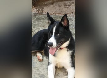 LOKI - ist bereit für Abenteuer