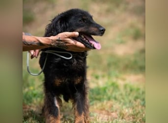 Zeyko