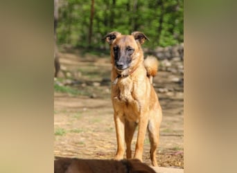 Entzückende RONJA träumt von einem Für-Immer-Zuhause