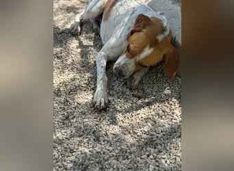 Cooper, hofft auf eine Chance