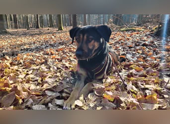 Max - ein echter Hingucker