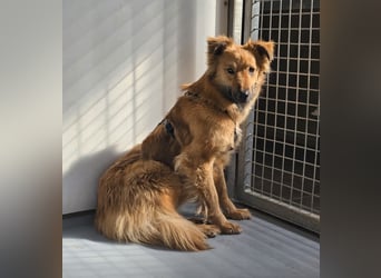 Dani sucht ihr Happy End bei einer liebevollen Familie