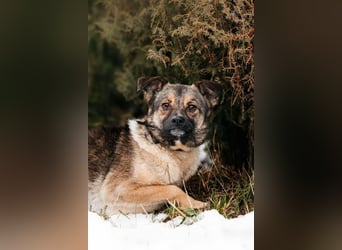 Zärtliche Luna sucht ihre Menschen