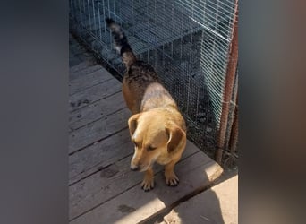 Peaches sucht ihre Familie