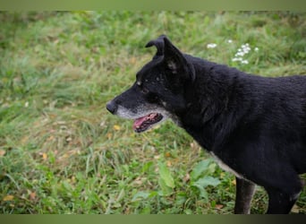 Miky: Sucht dich!