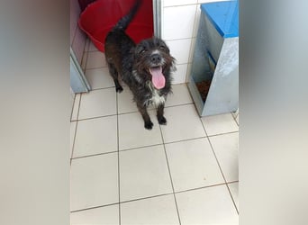 TOMILHO wünscht sich sein Traumkörbchen