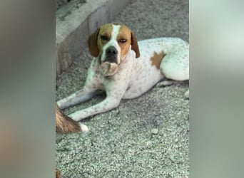 Cooper, hofft auf eine Chance