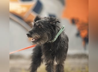 Paty, sucht ihre Herzensmenschen