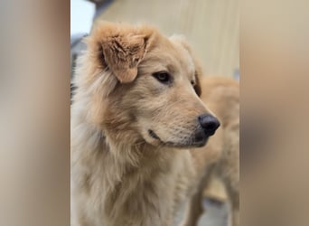 Fly sucht ein neues Zuhause