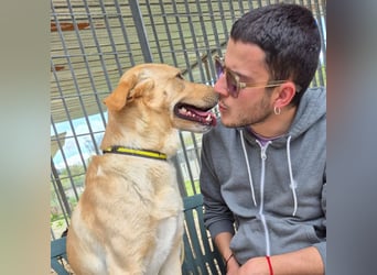 Akash - für mehr Lachen, Leben und Liebe in deinem Alltag