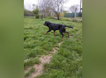 Axel, sucht eine aktive Familie….