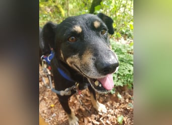 Rudi sucht seine Menschen