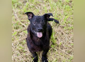 Sally – kleine Frohnatur sucht großes Herz ❤️