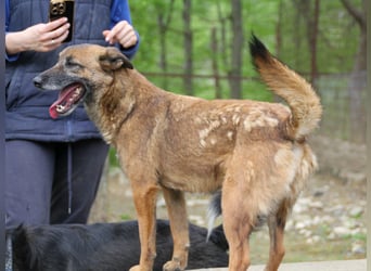 Kuckuck, zauberhafte NISHA sucht liebevolle Familie
