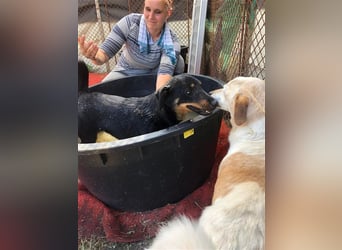 MAILA, sucht Menschen mit Herz (mit Videos!)