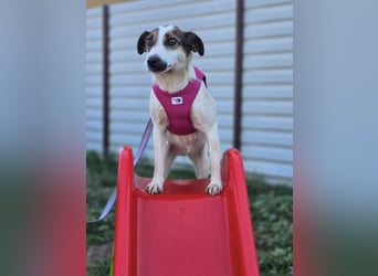 Cinga❤️