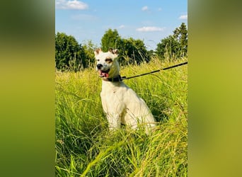 Nofall-Vermittlung für Murphy