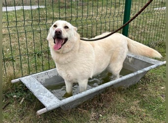 Fibi, geboren 01.06.2021, 50cm sucht ihr Körbchen