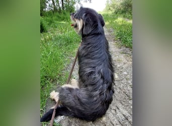 Ginia eine feine Lady