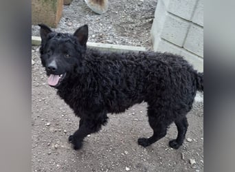 Rudy ein absoluter Engel
