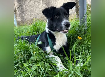 Herzensbrecherin Lena sucht ihre Familie ❤️