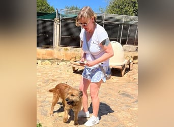 Trufa hat den Schalk im Nacken