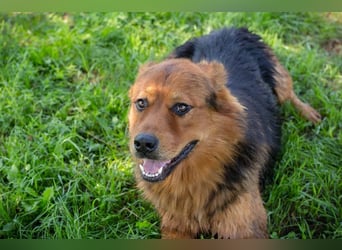 Milo – Harte Schale, weicher Kern