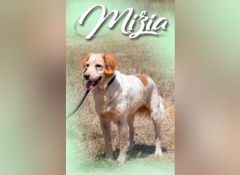 Mizia - ein reizendes Mädchen