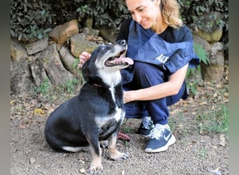 Fonzy- Unikat sucht ebensolches - und Liebe!