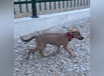 Mawie eine kleine Prinzessin